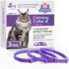 3Pc Cat 38cm Purple