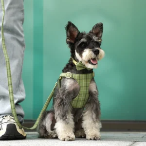 3pcs/set Dog Collar Harness leash Set Classic Plaid Bowtie Dogs Collar Harness Leash Adjustable for Halloween Christmas Puppy