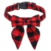 Red Black