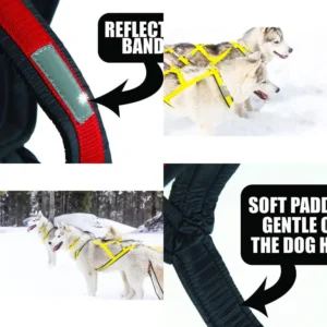 Extra Large Yellow Sled Dog Harness - Neck 22, Chest 38, Back 26